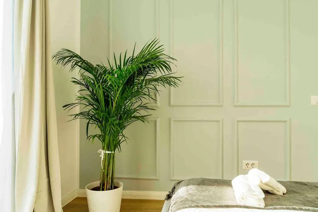 Bright Apartment - Top Location - City Balcony 부쿠레슈티