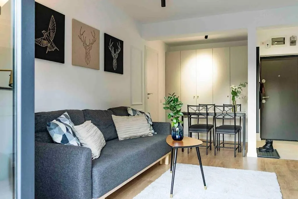 Bright Apartment - Top Location - City Balcony 부쿠레슈티 0*,